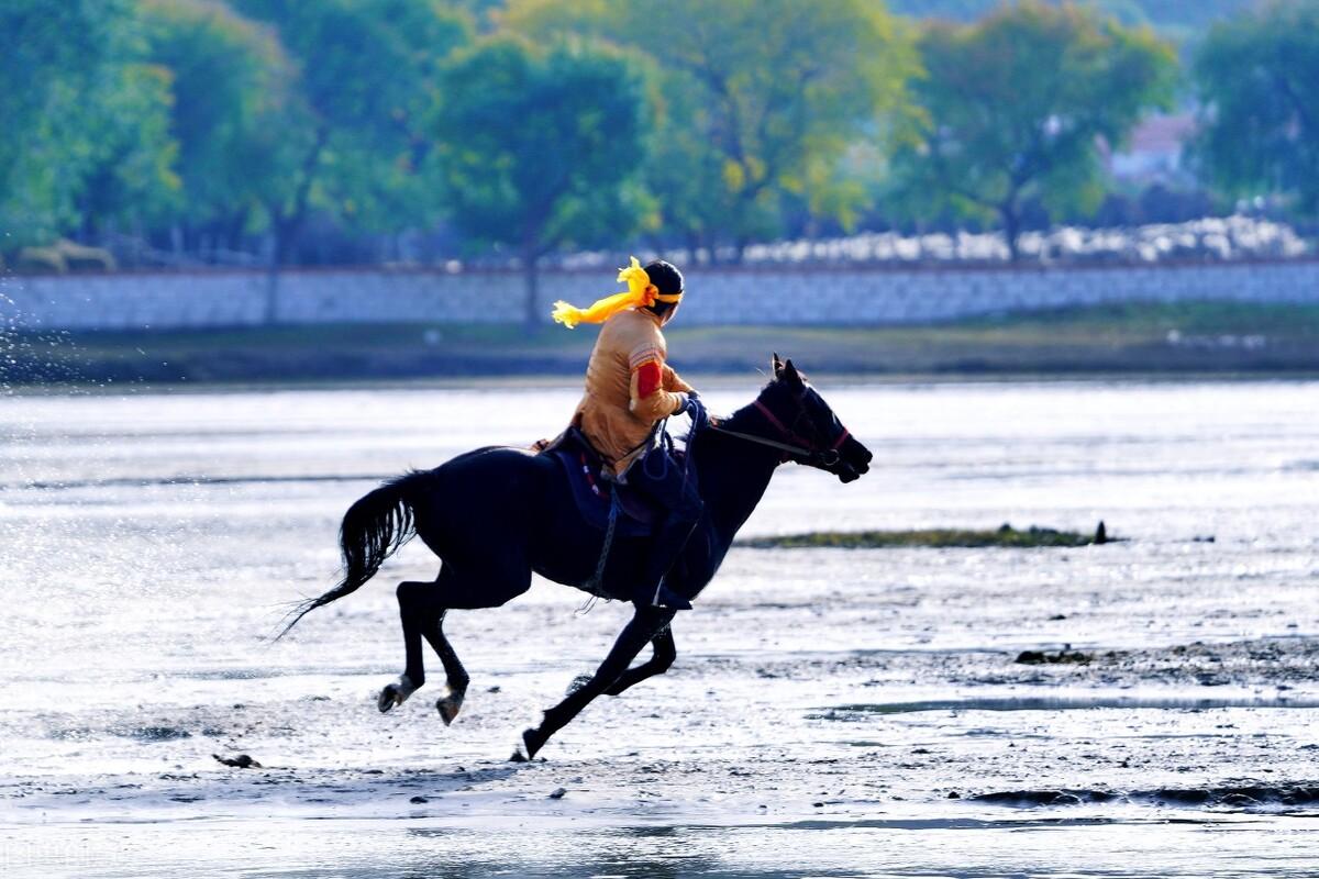 |郭进拴|绝美的坝上