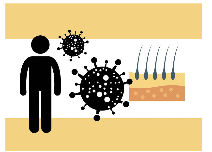 脱发|头发出油、吃太多甜食会导致脱发?脱发的3件事,多数人都忽略了