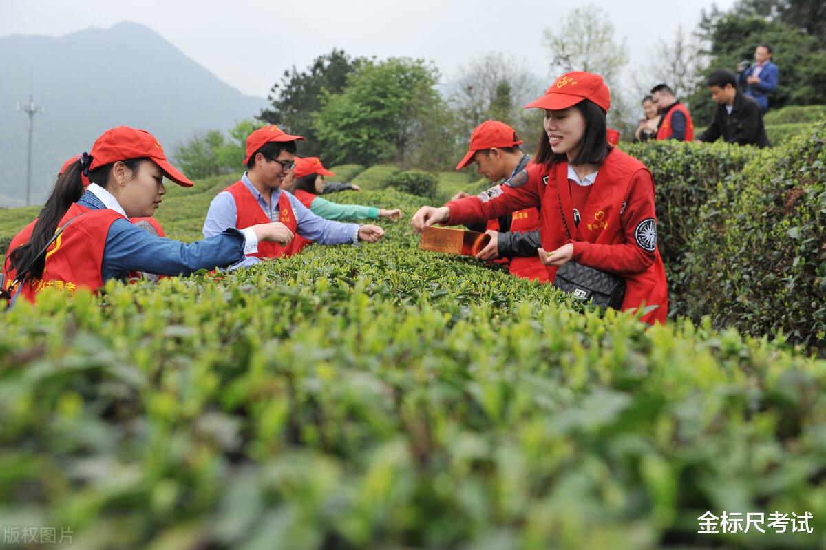 考试|上半年有3个大型考试，招聘人数较多，看看待遇怎么样？