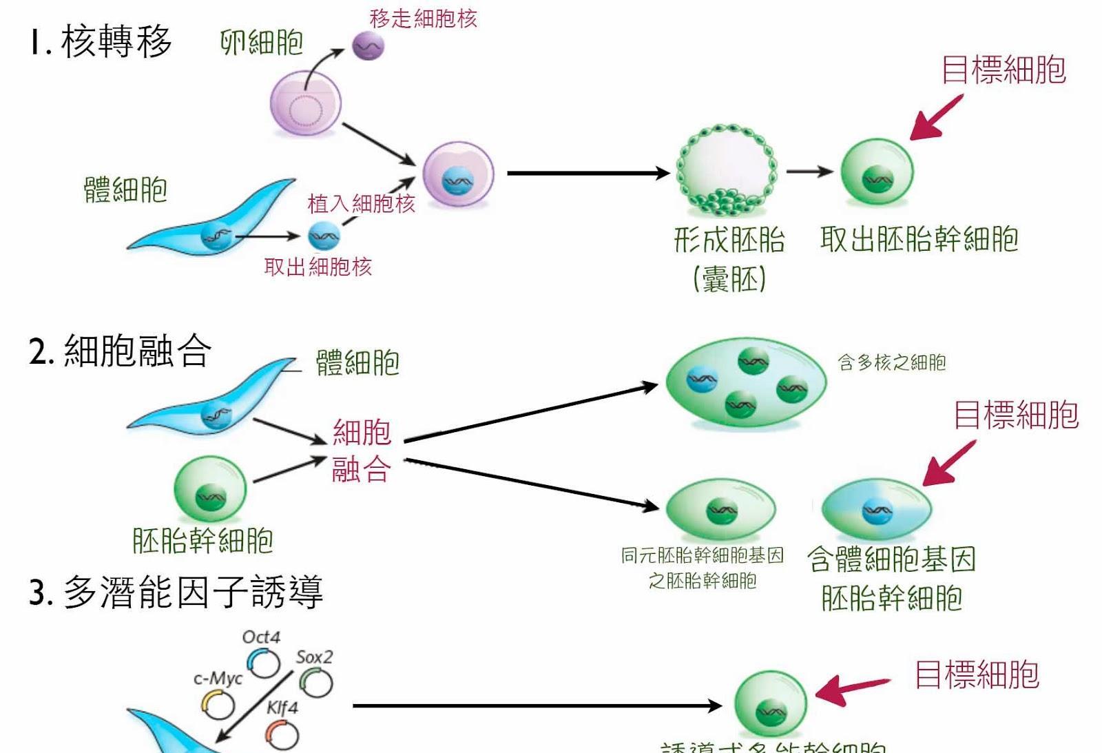 日本“人兽杂交试验”：太疯狂了，创造出来的是人还是什么动物？
