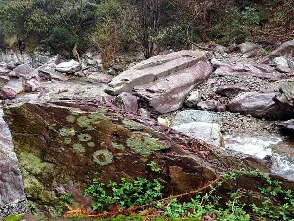 池州|池州有个“桃源村”，村民日出而作日落而息，生活恬静而古朴