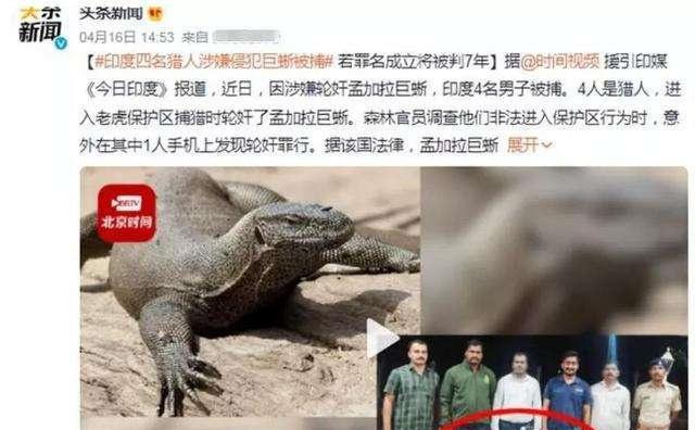 让人三观尽毁,侵犯老人、女婴甚至蜥蜴也不放过,印度有多疯狂?
