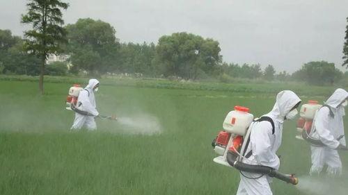 过期农药还能用吗？今天我们来聊聊