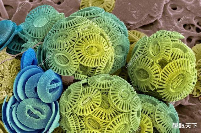地球三次暖化都伴随着大量的“幽灵”微生物出现,科学家:这回它们又来了!