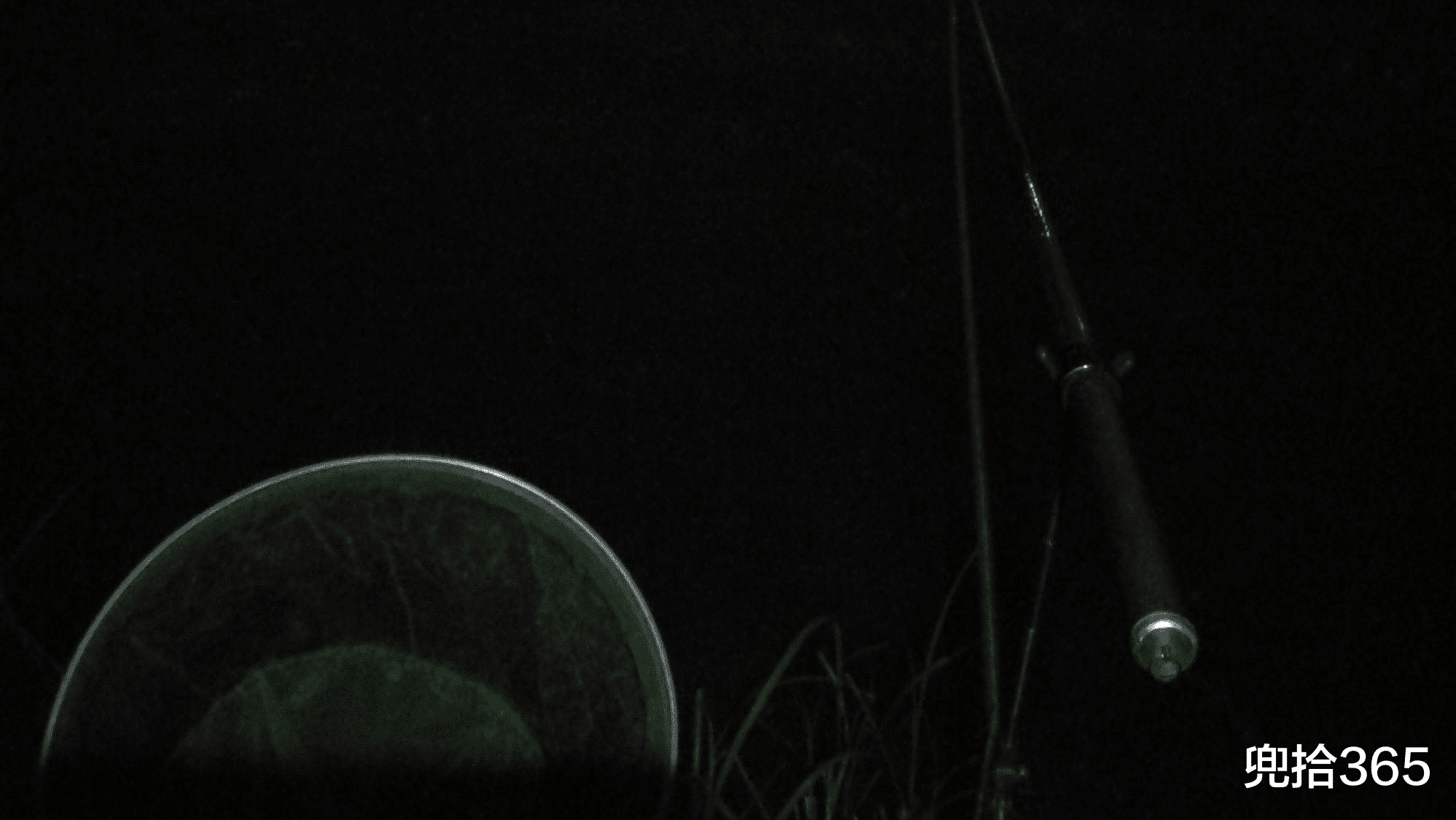 嘉陵江|四川4名男子组团夜钓，意外收获1条四脚鱼，得知身份后赶紧放生