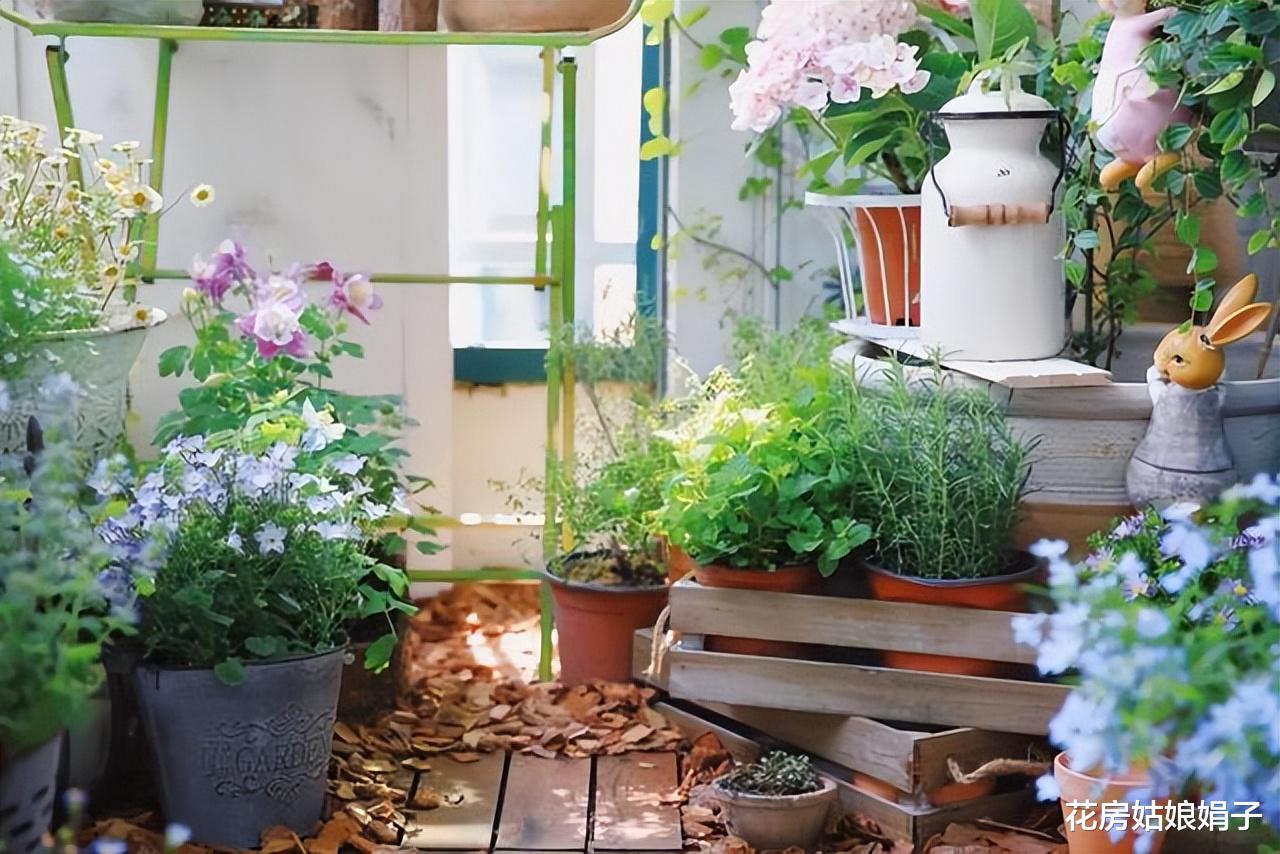 4.5㎡阳台，花了20天时间打造成花园，过上了有花有酒的惬意生活