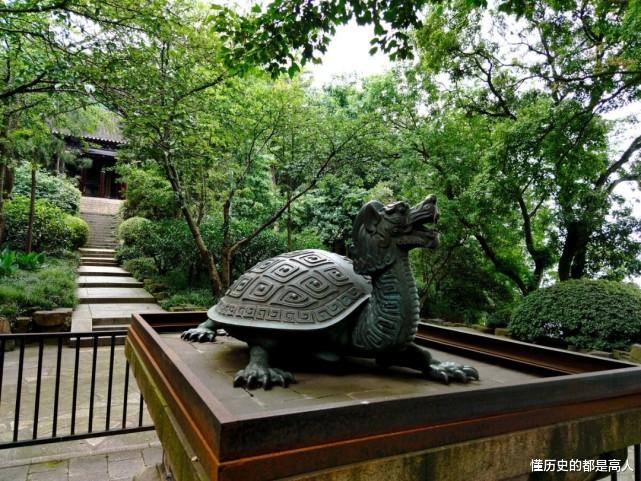 “水中熊猫”——鼋