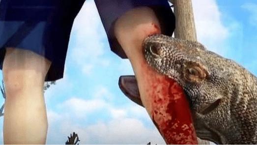 人被科莫多巨蜥咬一口，身体会发生怎样的变化？看看这块肉的下场