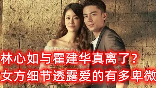 林心如|真离了？林心如独自为女儿庆生，霍建华未露面，细节透露爱的卑微