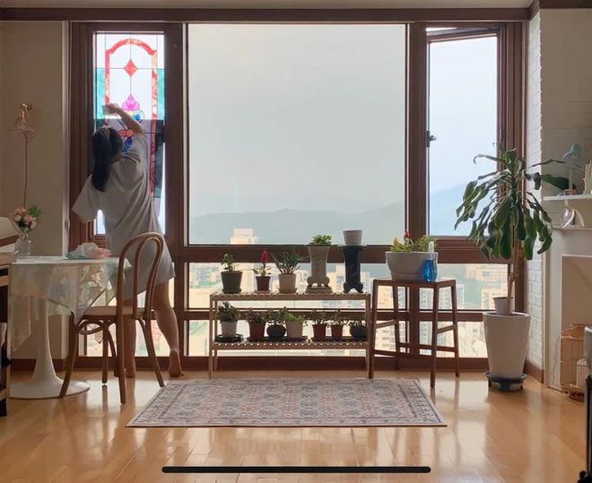 韩国25岁女主的独居生活:住60㎡小家,与宠物为伴,生活幸福