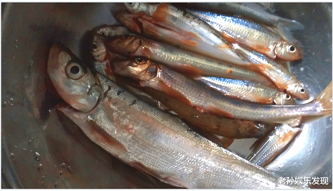 |超市关门，街道“静默”状态，悄悄的去河边搞点荤物