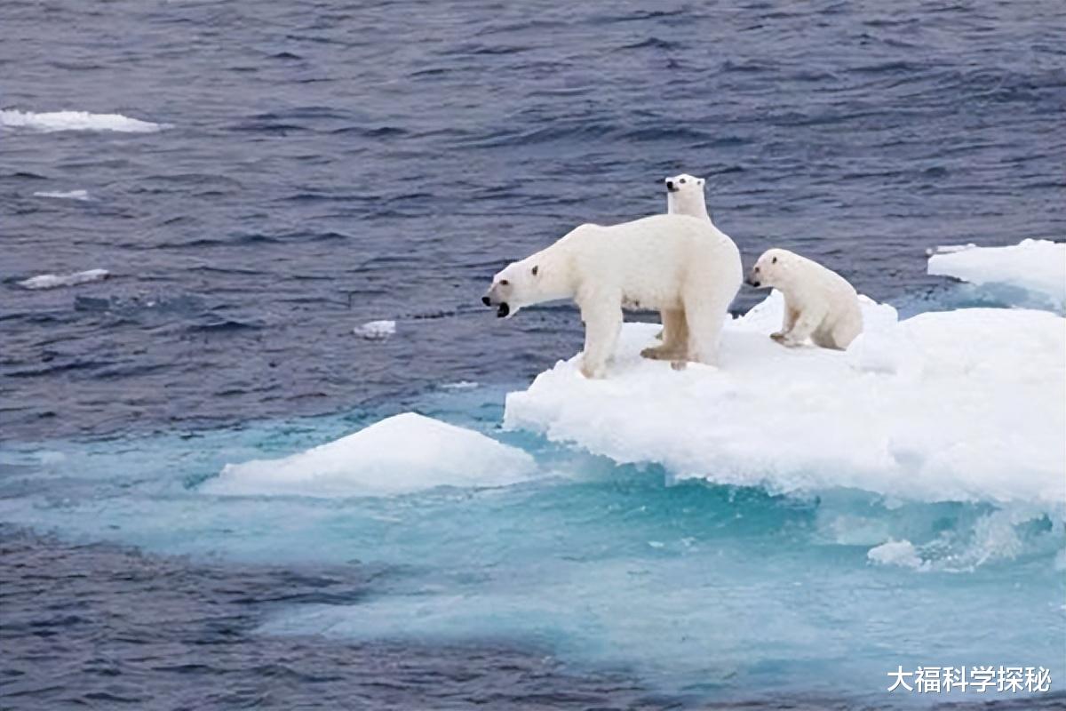 地球每年吞掉30亿吨海水，如果被抽干，会露出地心世界吗？