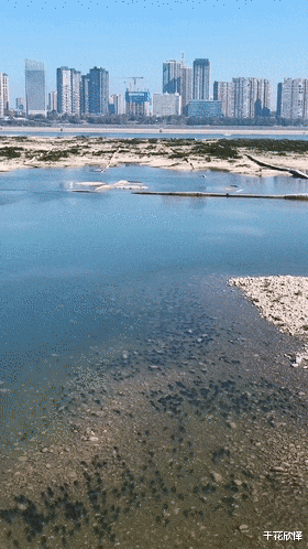 长江|湖北长江边:男子钓起两条大青鱼,结果引来渔政,网友:抓得好