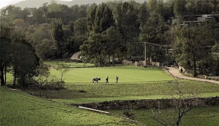 禹州|禹州海拔最高的古村，房屋均是用石头建成，鸡鸣狗吠，炊烟袅袅