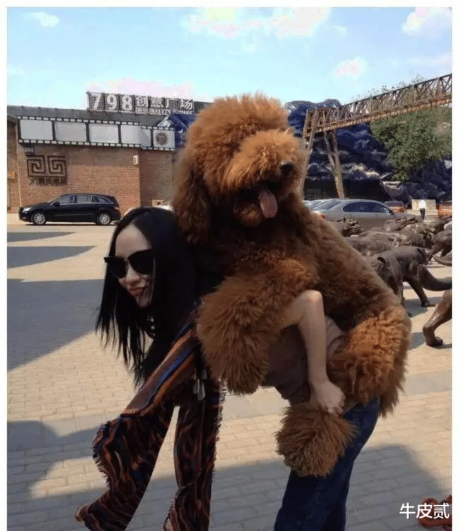 杜江|“好男人”杜江的瓜