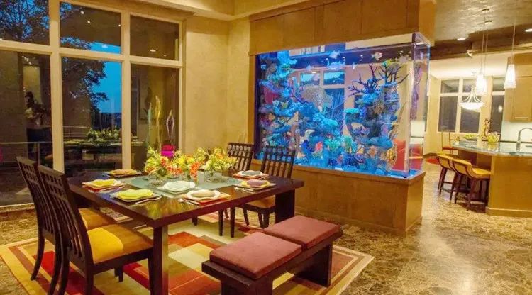 想求财反而泄财的布局,很多人都犯错了