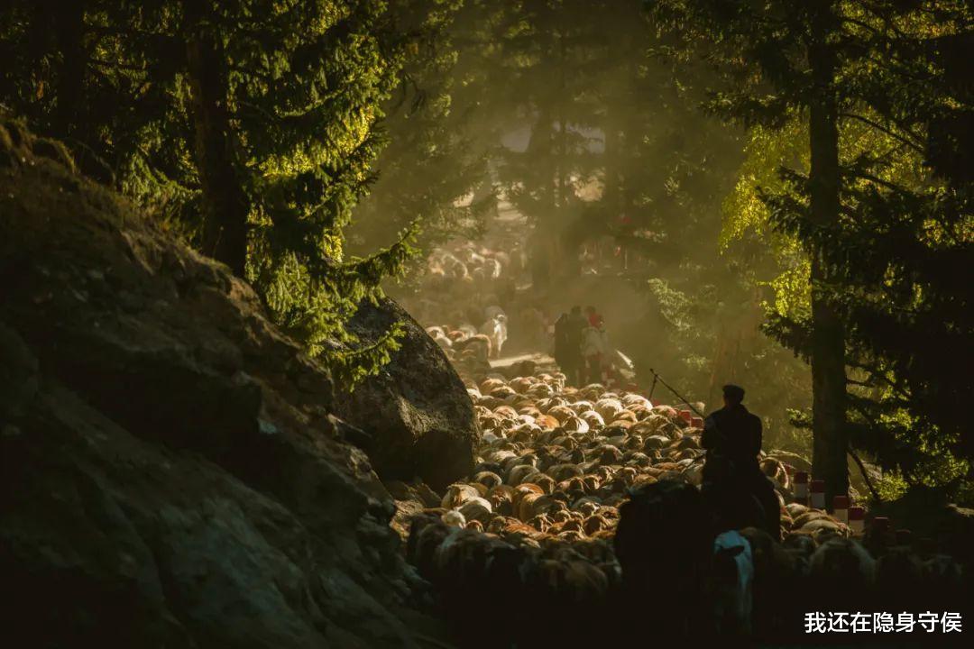 新疆维吾尔自治区|它称第二,无人敢称第一! 沉寂1个月,此生必去的秋色之王正在苏醒