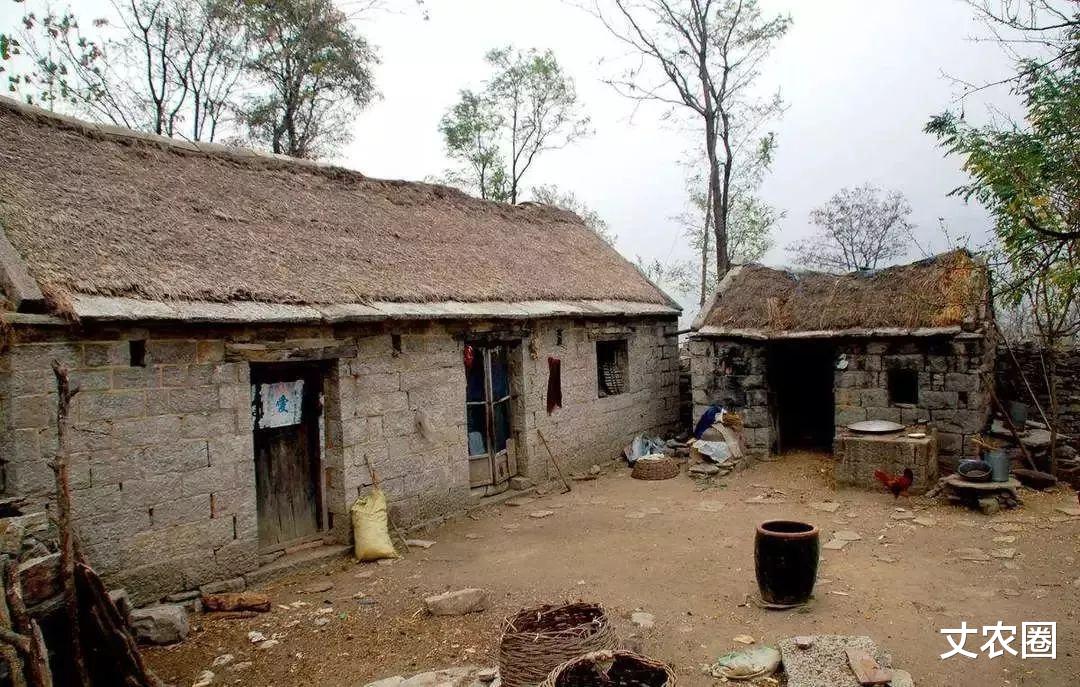 楼市|农村拆迁再来！保宅先保房，户口抵一半？宅基地继承拆补要当心