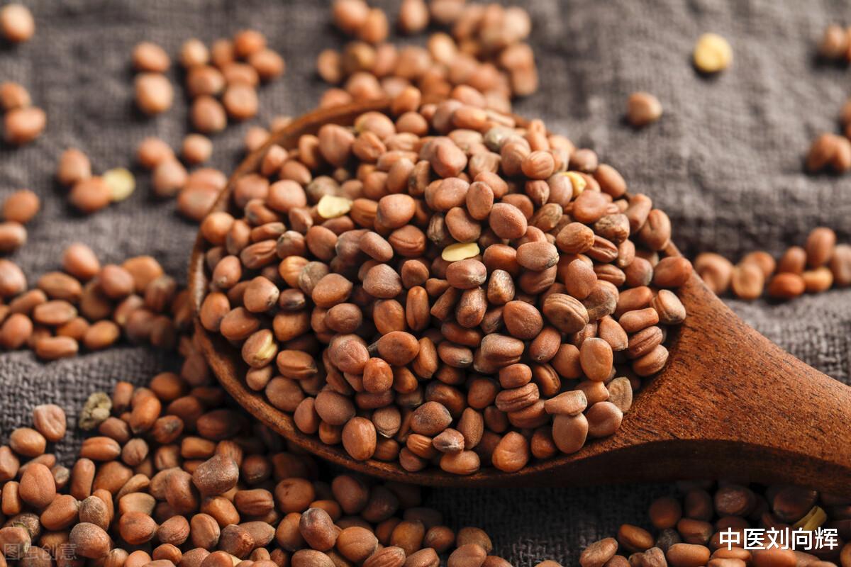 热射病|一个三子养亲丸,既能温化痰饮,又能降气消食,最适合老年人