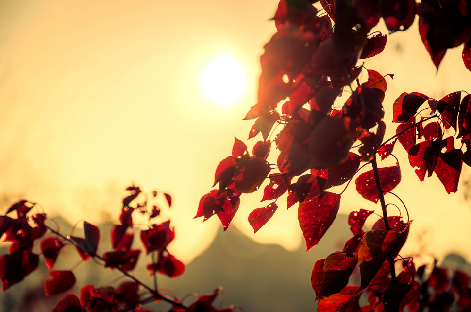 人类四季不分，冬季可能要回温？科学家：太阳喷射物正在冲向地球？