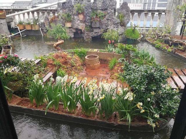 为了露台买顶楼,改造后过上了田园生活,太让人羡慕了