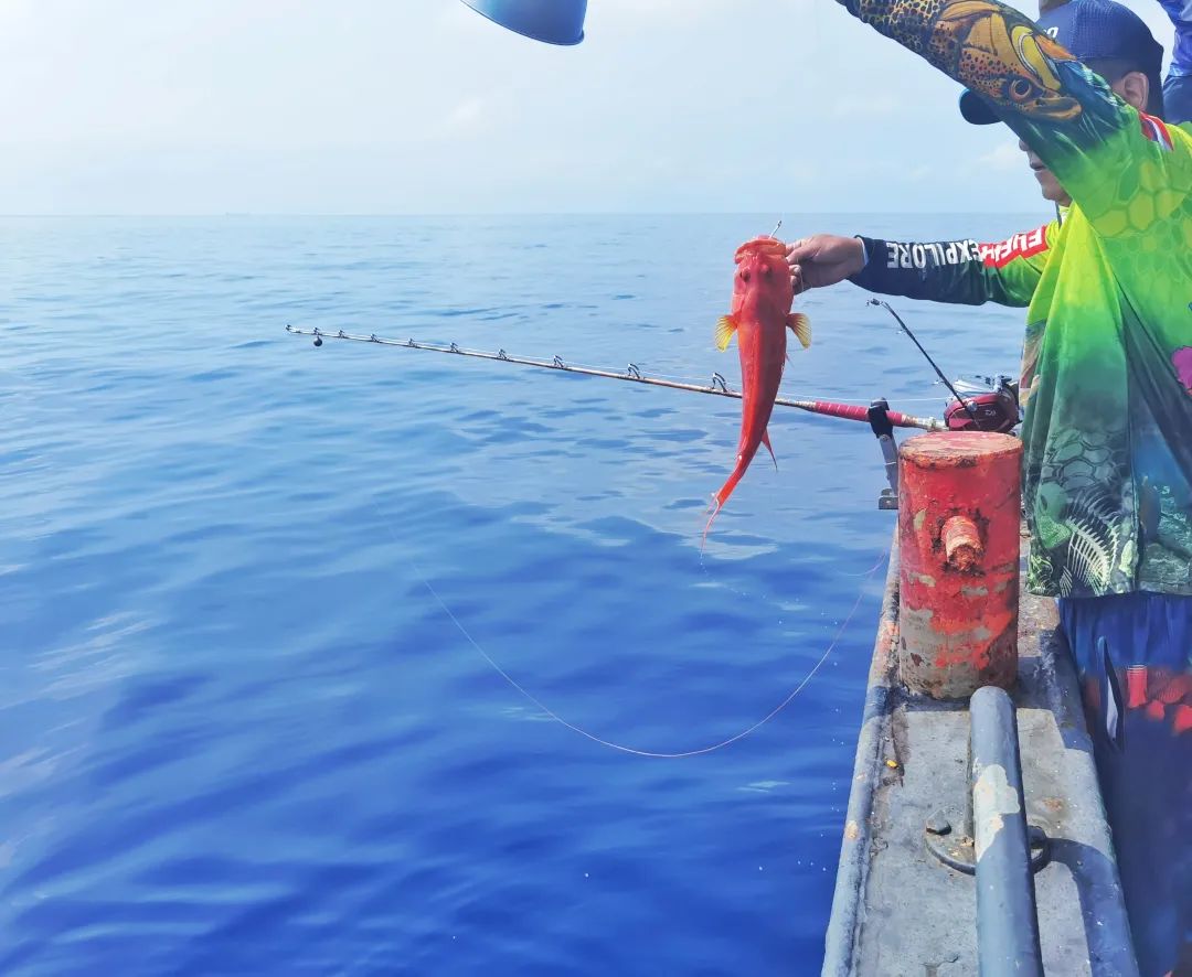 中国公民|只限中国公民进入的海岛,真正的0污染天堂,完胜马尔代夫!