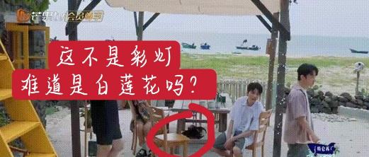 龚俊|《向往的生活》龚俊做嘉宾,明星粉丝撕起来了,一只彩灯引发闹剧