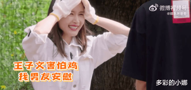 王子文|渣男终于被反噬了?