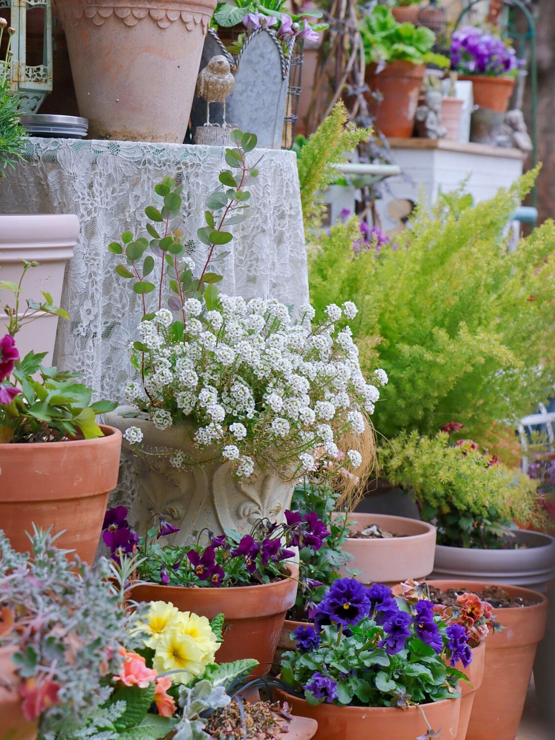 1年前,买了一栋带200m2花园的房子,不装修也要先把花园建起来