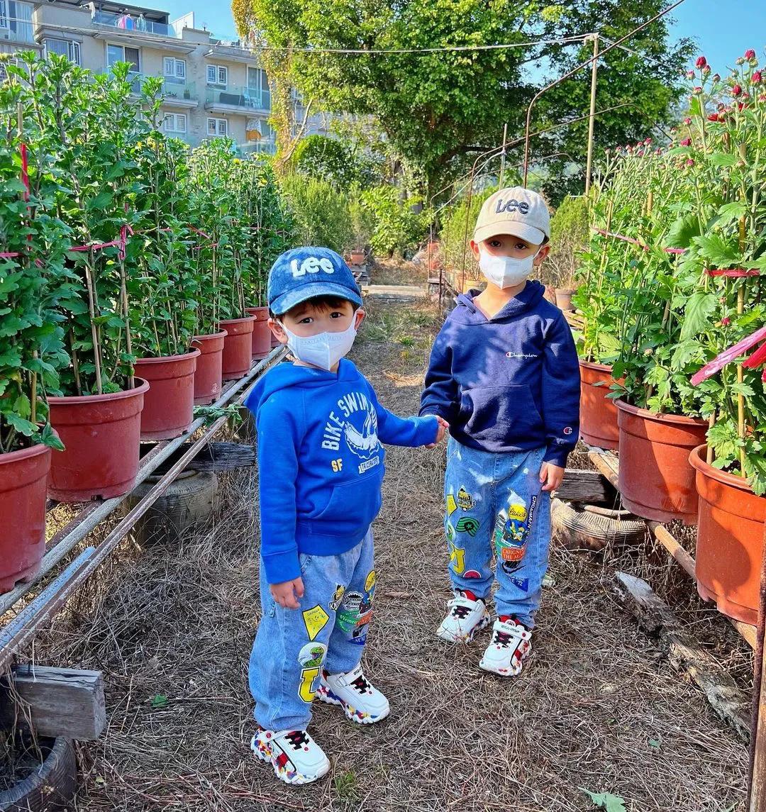 李乘德|胡杏儿老公带俩儿子去买年花，李乘德吐槽奕霆奕霖是“小坏蛋”