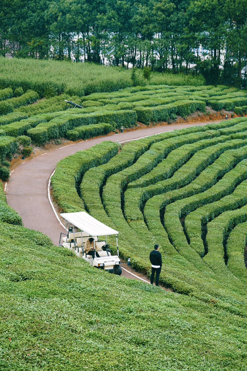 美丽|寻味遂昌，山野温泉，悦冬之旅