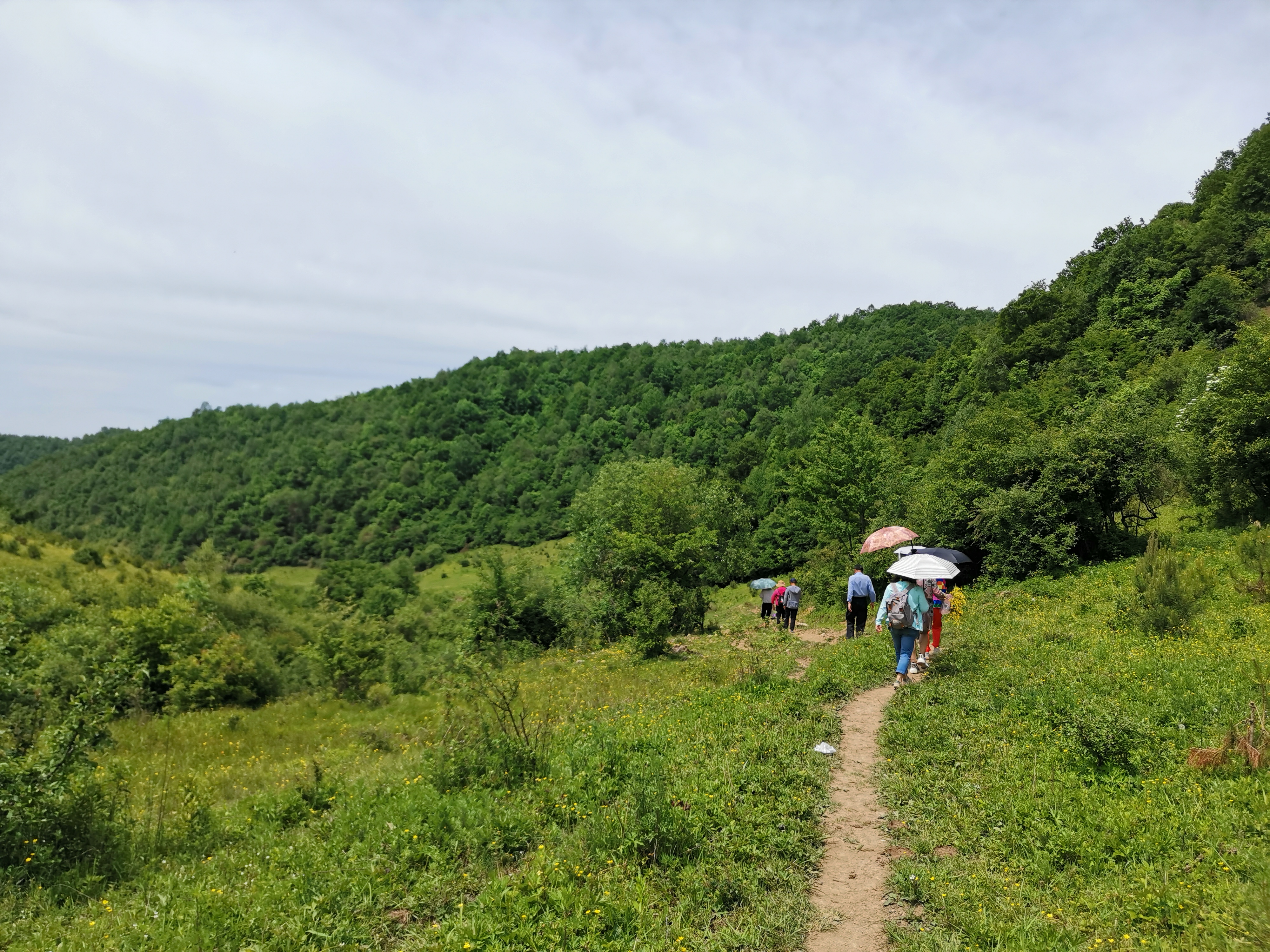 旅行社|七绝?行游清水三皇谷森林公园