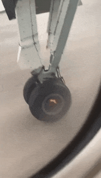 女朋友去西藏出差，走的时候还挺正常，呆了几天后我陷入了沉思