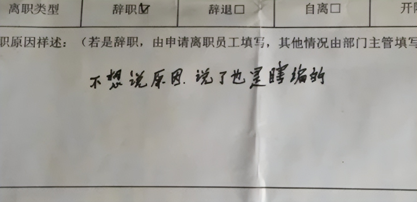00后“低情商”辞职信走红,不懂什么叫场面话,只留老板独自尴尬