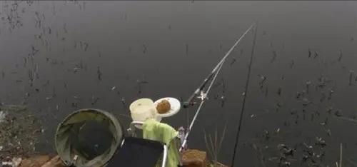 电工|“电工”在钓鱼群“潜伏”多年,识破后被人疯狂追赶,值得同情吗