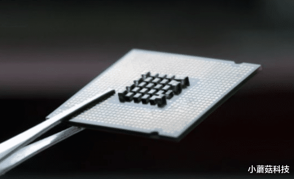 伊隆·马斯克|比芯片卡脖子还严重？还是任正非有“远见”，该警惕了！