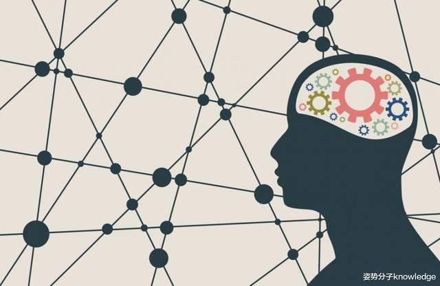 加班会让大脑“中毒”!科学家最新成果:谷氨酸含量增加