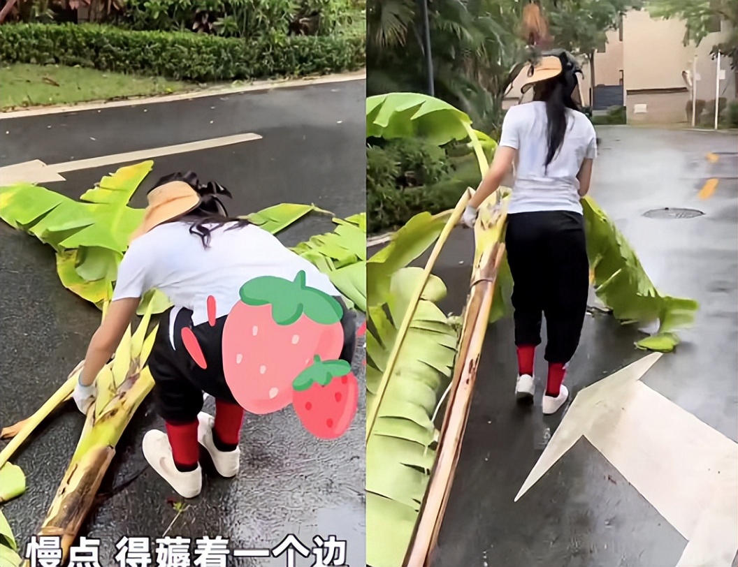 |马苏家中素颜砍树!蹲地上用手抱垃圾不怕脏,脚上一双红袜子抢镜