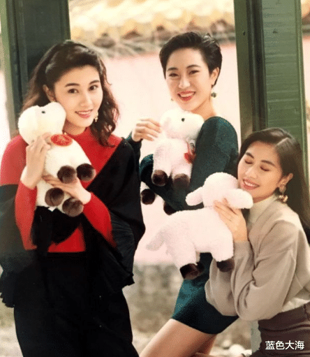 大S|“豪门梦碎”的女星：替夫还债、被骗千万，大S还不算“惨”的