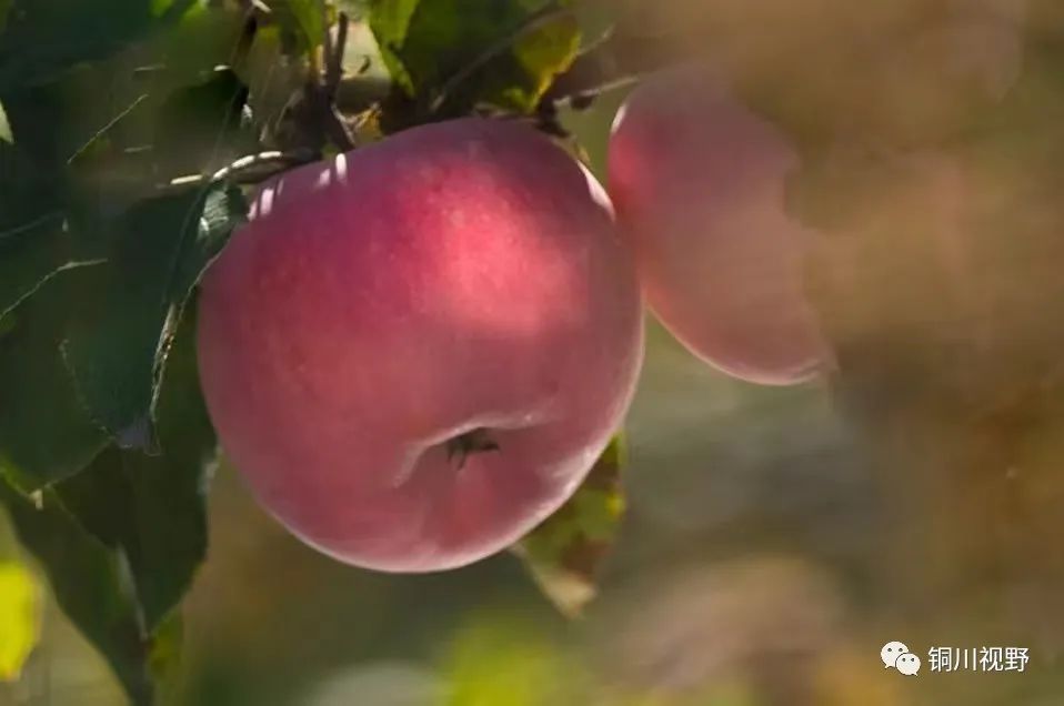 |铜川的美景【摄影铜川杨爱英】
