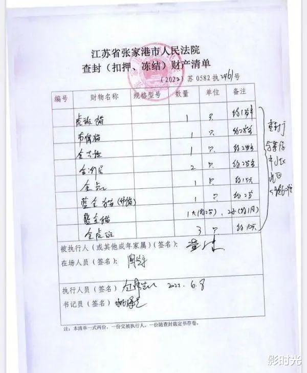 10万人围观!男子欠债未还,12只猫被法拍替主人还债,一只猫拍价竟连翻近三倍!