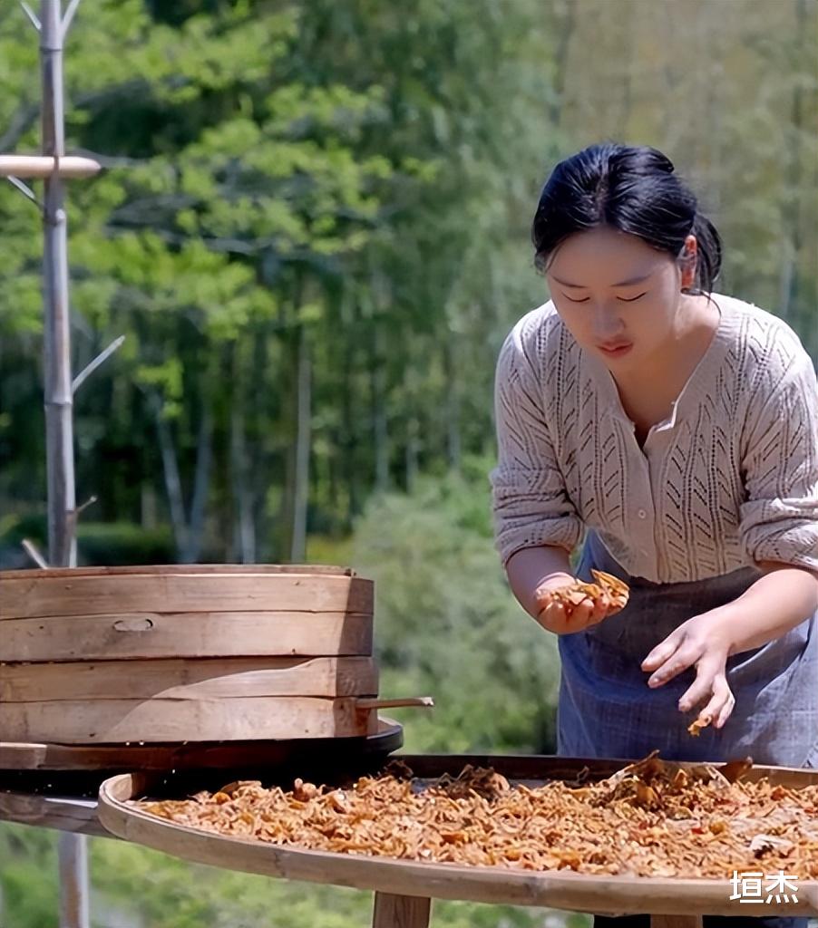 |乡愁沈丹为何那么红?从离异妇女到千万网红,如今身价超1000万