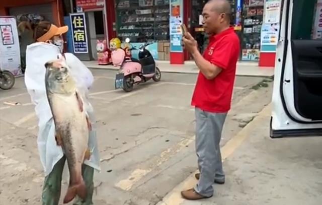 徒步|女钓友收获30斤胖头鱼，扛着它徒步10公里回家，原因让人哭笑不得