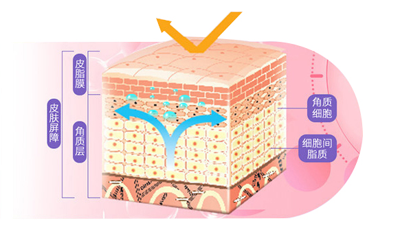 护肤 冬日护肤正当时,把握入冬好时机,3招干货,让肌肤找回水润光泽的好状态
