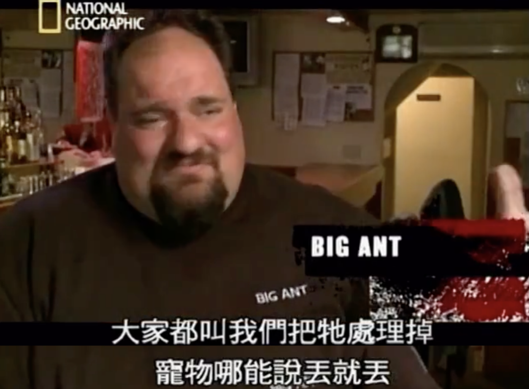 一群纹身男人怒了：虐待动物的人，最窝囊！