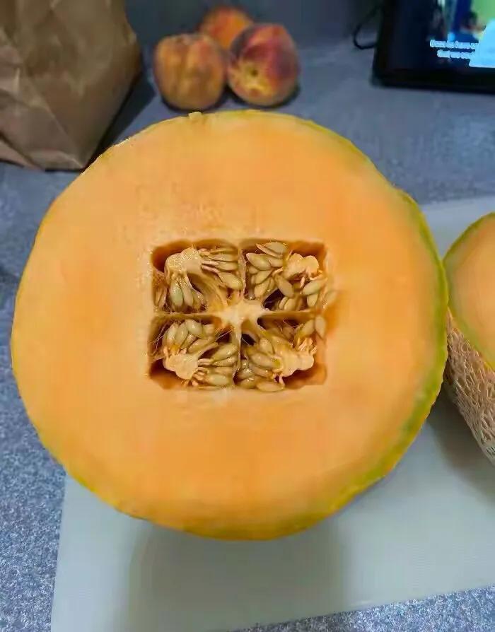 世界之大,无奇不有!这28张罕见的图片,你见过几张?