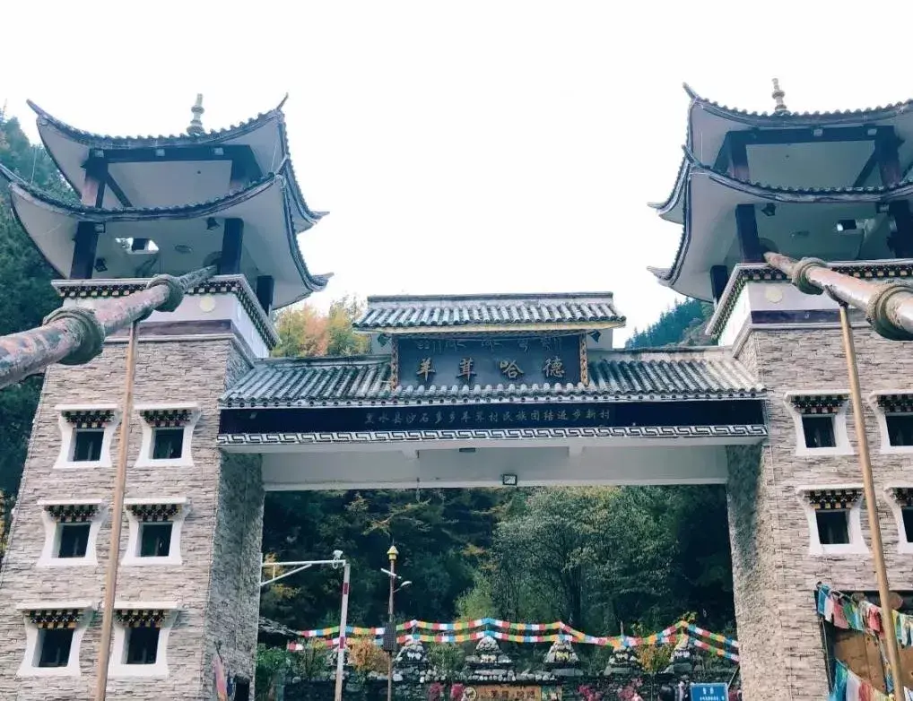 洛阳|再过半月!成都周边这个仙境,拥有最完美秋天