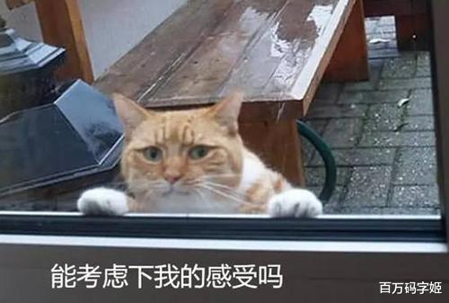 高校|2022高校毕业生超1000万人:“别卷了,再卷人都卷没了”