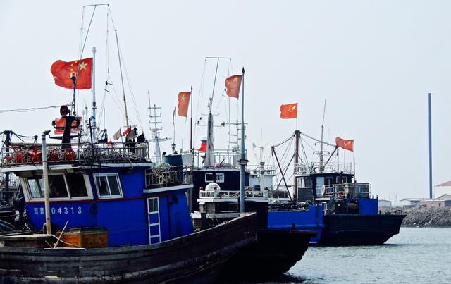 罕见！禁渔1年，长江流域惊现“江猪” 为什么“江猪”如此罕见？