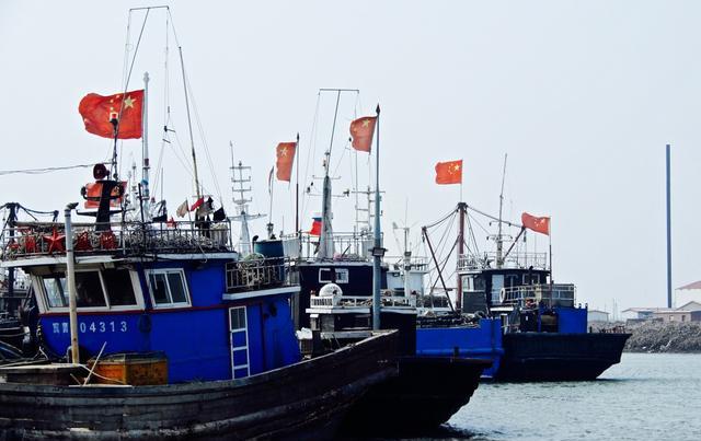 罕见!禁渔1年,长江流域惊现“江猪” 为什么“江猪”如此罕见?